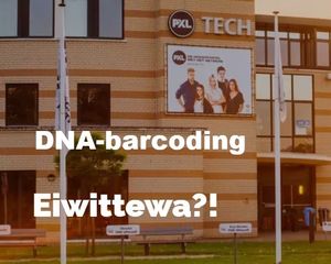 Workshops DNA-barcoding en Eiwittewa voor leerlingen i.s.m. PXL (2026-2027) cover