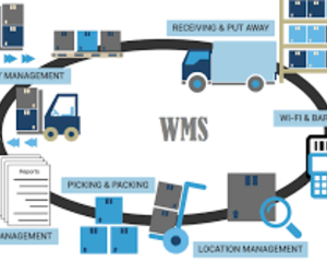 Ondersteuning WMS-software (SAP, Dynamics Navision, ...) 2022-2023 cover