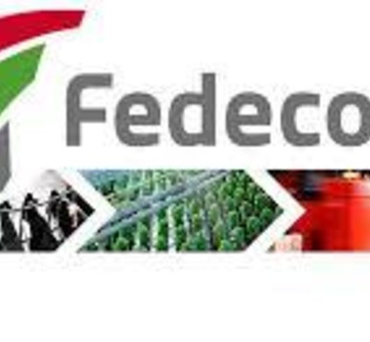 Professionaliseringsdag van 'Tech in Motion' i.s.m. Fedecom