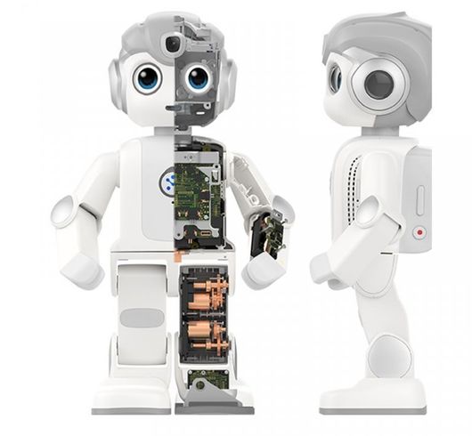TTT Zorabots: Humanoids in de (personen)zorg