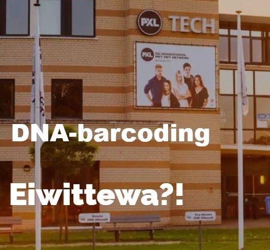 Workshops DNA-barcoding en Eiwittewa voor leerlingen i.s.m. PXL (2026-2027)