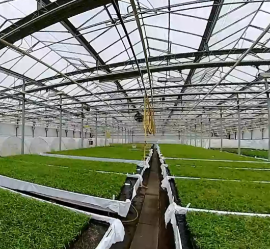 XR 2.0: Land- & Tuinbouw (PXL)